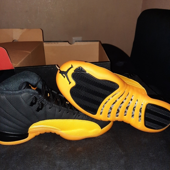 Air Jordan 12 retro
